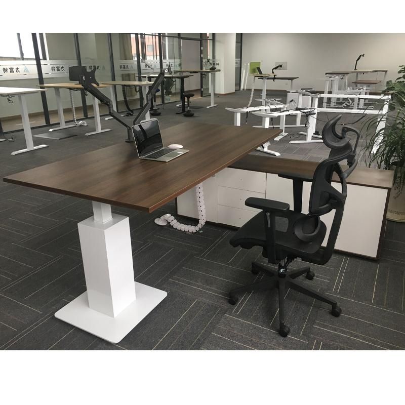 Adjustable Computer Desk Electric Height Adjustable Dest Office Modern Desk