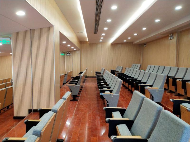 Office Lecture Hall Classroom Cinema Stadium School Conference Auditorium Theater Seating