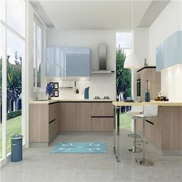 Hot Selling No Anti Dumping Solid Wood Unique Double Shaker Style Modern Kitchen Cabinet
