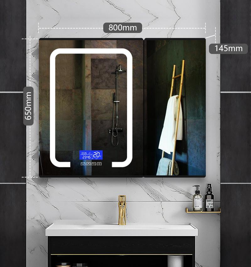 Bathroom Wash Basin Mirror Cabinet Wall Mounted with LED Light