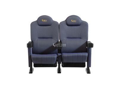 Home Theater Luxury VIP Home Cinema Theater Movie Auditorium Cinema Recliner