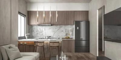 New Style Lacquer Modern Kitchen Cabinet Modular Kitchen Cabinet for Modern Furniture