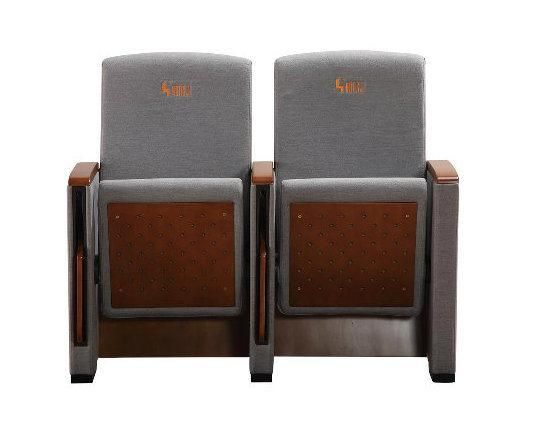 Audience Stadium Economic Media Room Lecture Hall Theater Church Auditorium Seat