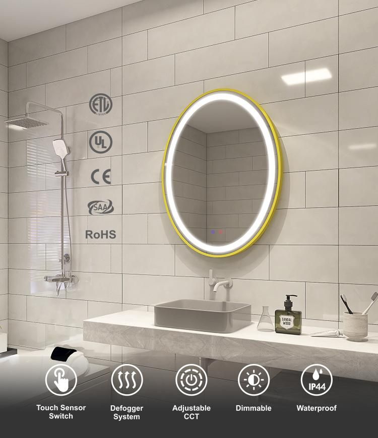 Oval Bathroom Wall Mounted LED Touch Mirror with Light