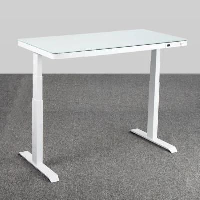 Customized Economic Durable Motorized Quiet Sit Standing Desk