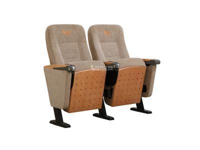 Public Lecture Theater Audience Stadium Classroom Church Auditorium Theater Seat