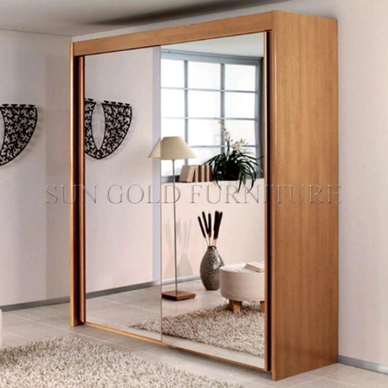 Modern Wooden 2 Doors Wardrobe with Mirror (SZ-WD034)