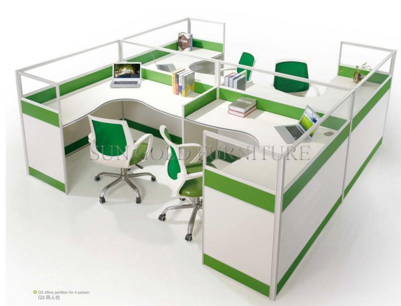 New Design Fashion Office Workstation Partition (SZ-WS161)