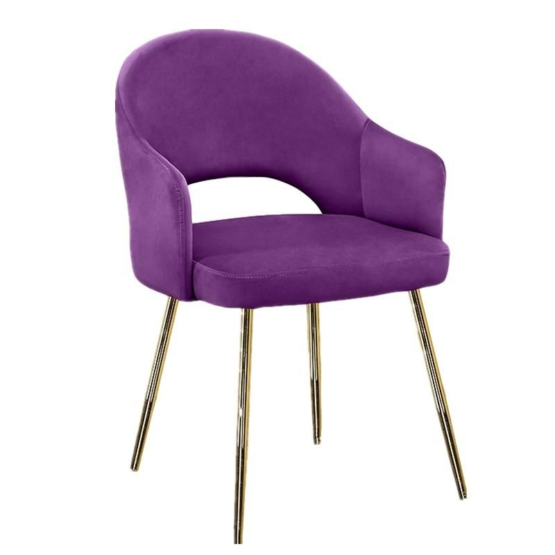 Modern Leisure Chair/Living Room Chairs/Dining Chair//Modern Furniture/Restaurant Chair