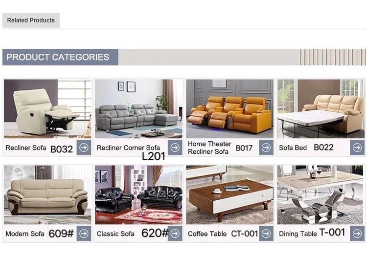 European Style Modern Bedroom Couch Genuine Leather Sofa Recliner Chinese Bedroom Furniture