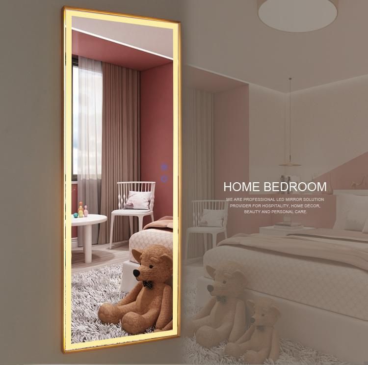 Best Choice Aluminum Long Dressing Mirror