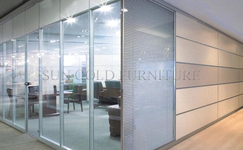 Australian Standards Commercial Office Double Glass Partition Wall (SZ-WST790)