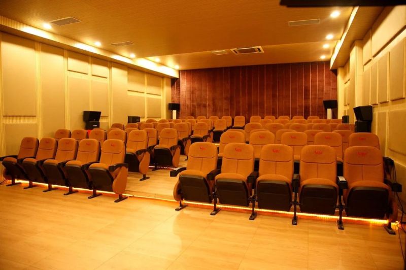 Popular 3D Modern Auditorium Home Amphitheater Cinema Theater Hall Chair