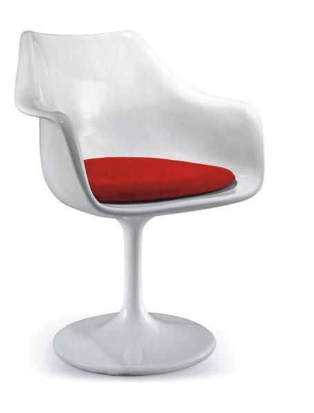 Modern ABS Leisure Chair (SZ-LC529)