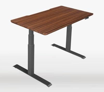 Dual Motor Sit Stand Adjustable Standing Desk