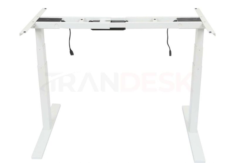 Electric Standing Desk Dual Motor Ergonomic Furniture