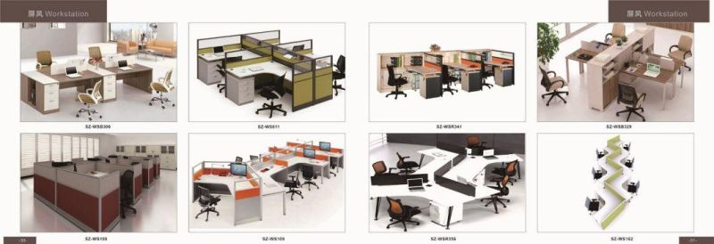 Hotsale Workstation China Manufacturer Modular Office Call Center Partition (SZ-WS317)