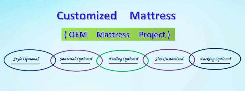 Customized Modern Euro Top Gel Memory Foam Pocket Spring Mattress with Latex Eb15-18 Duble Size