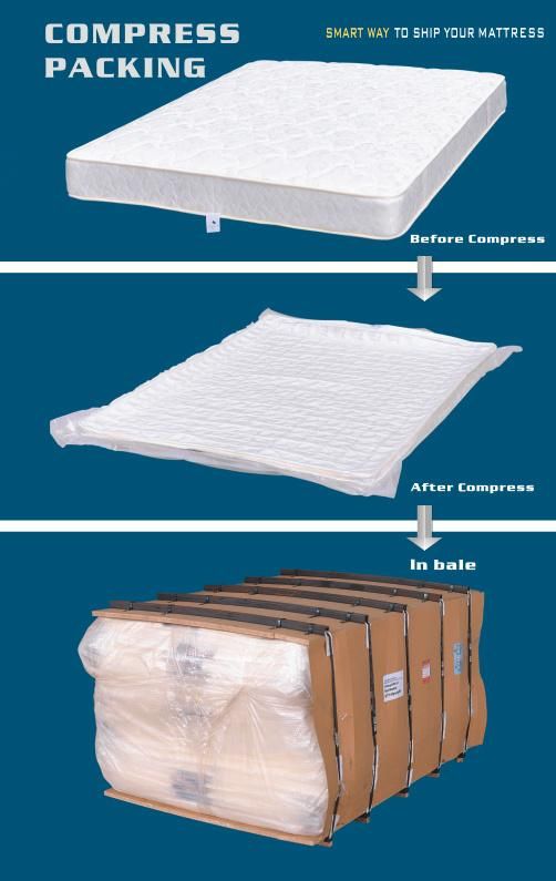 Eb15-1 Hot Sale Euro Top Pocket Spring Double Size Mattress with Modern and Simple Design.