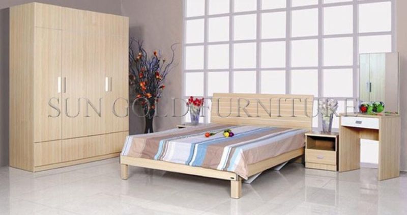 Modern Apartment Queen Size 2 Person Bed (SZ-BF033)