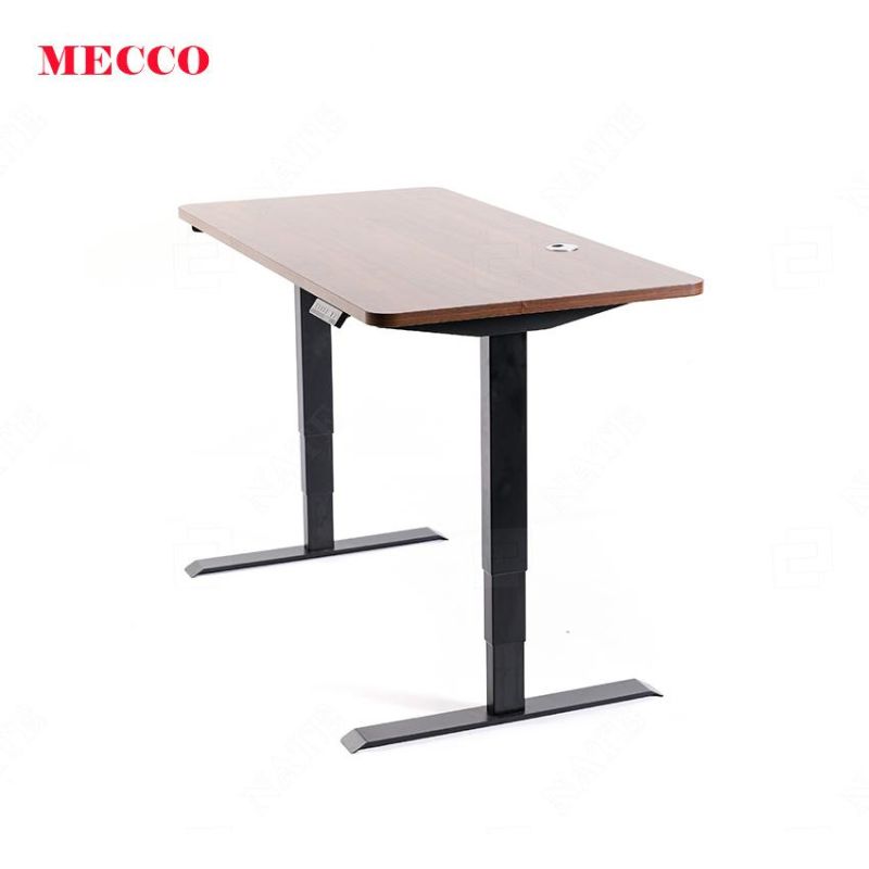 Foshan Smart Dual Motor Electric Lifting Sit-Stand Adjustable Height Home Office Standing Desk for Computer