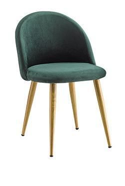 Europen Morden Steel Fabric Dining Chair/Steel Wooden Furniture