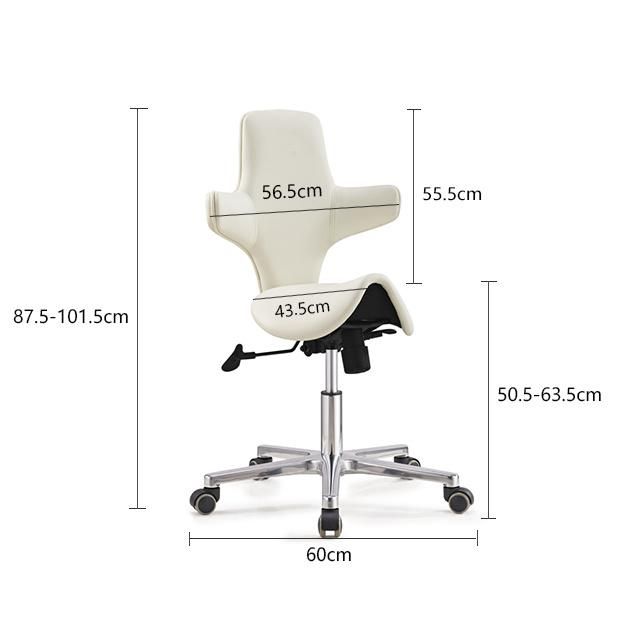 Hot Sell Ergonomic Saddle Seat Stool Office Chair with Adjustable Backrest