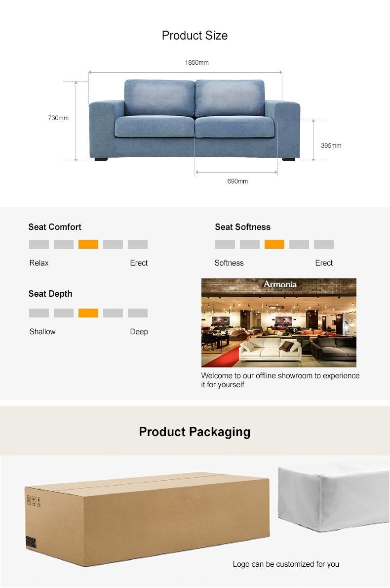 Home Furniture for Living Room Removable and Washable Modern Sofa