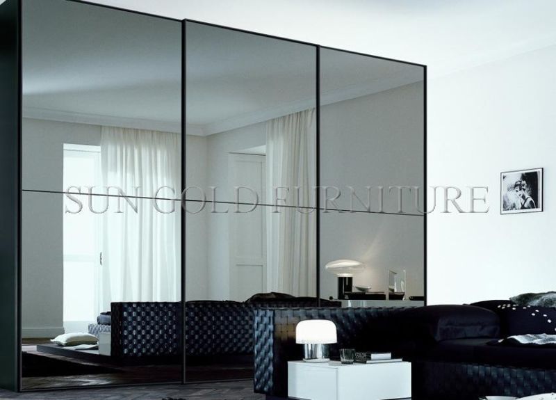 China Supply Fashion Modern Home Sliding Door Wardrobe (SZ-SW010)