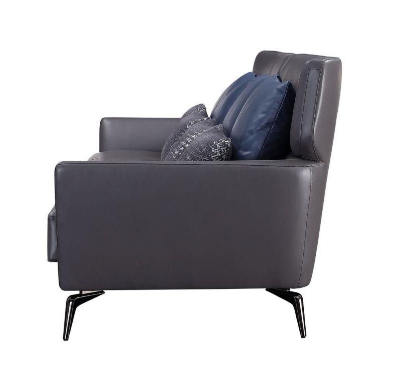 Drak Grey Living Room Genuine Leather Sofa