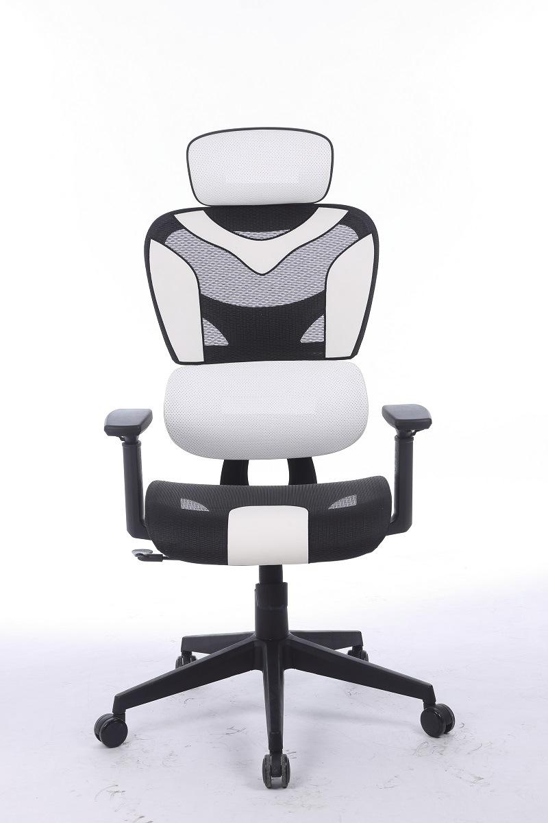 Modern Mesh Ergonomic Executive Office Chair with Sliding Seat