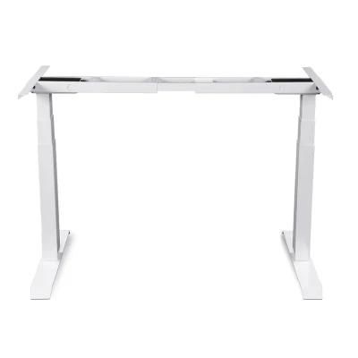 Customized Modern Stable Quietest Metal Electric Stand Desk