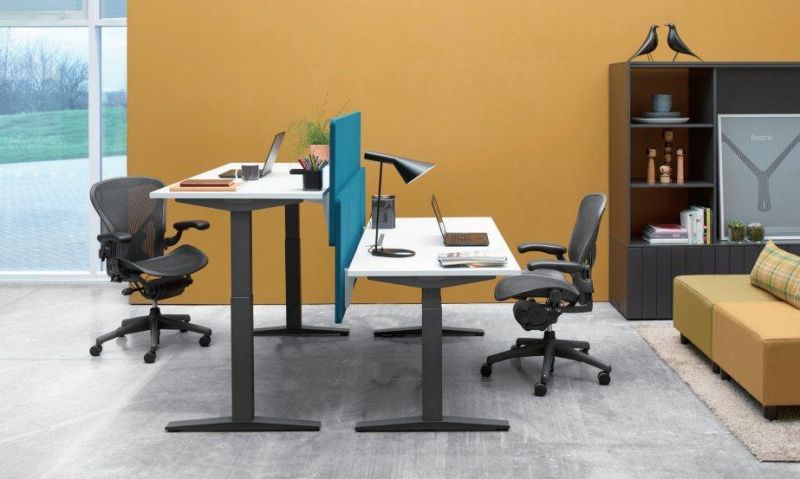 Double Motor Lift Table Modern Office Height Adjustable Desk Furniture