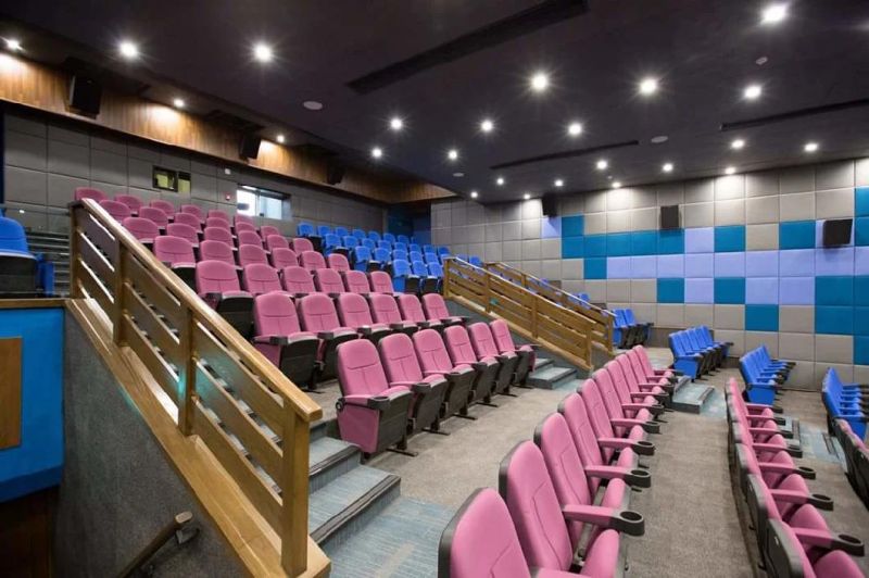 Popular 3D Modern Auditorium Home Amphitheater Cinema Theater Hall Chair