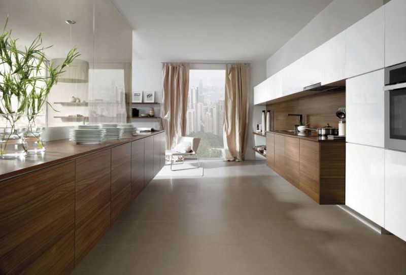 European Modern Kitchen Cabinets & Kitchen Furniture