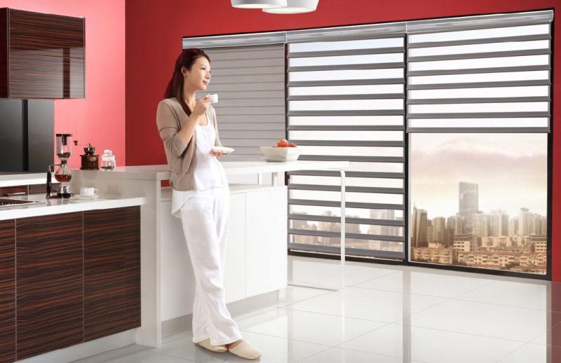 Soft Shangri-La Window Roller Blinds