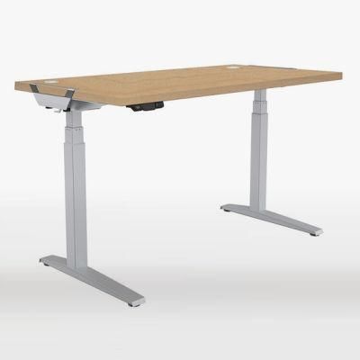 Motorized Sit Standing up Laptop Desk Height Ajustable Office Desk