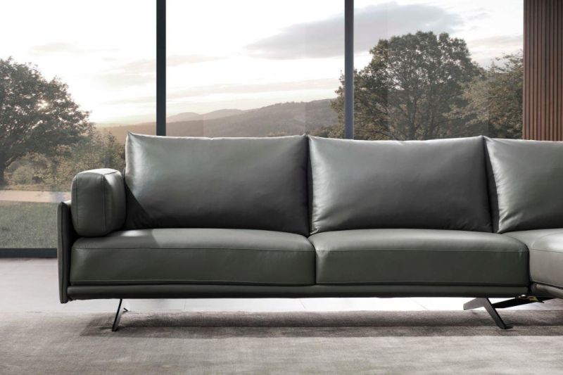 Modern Living Room Furniture Sofa Furniture Genuine Leather Sofa GS9041