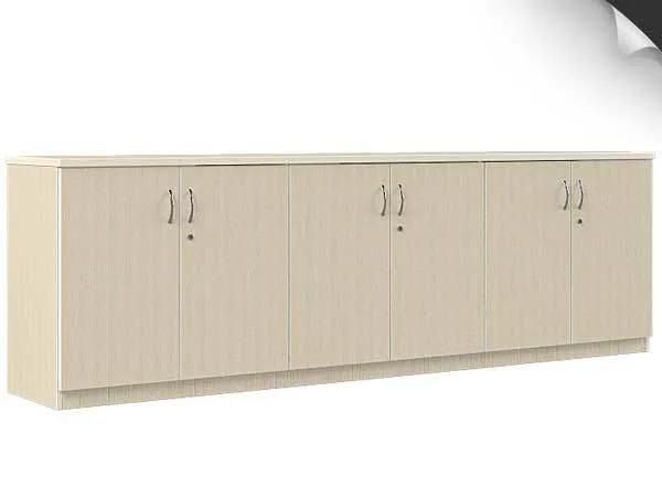 Modern New Design Office Furniture Storage Cabinet (SZ-FC062)