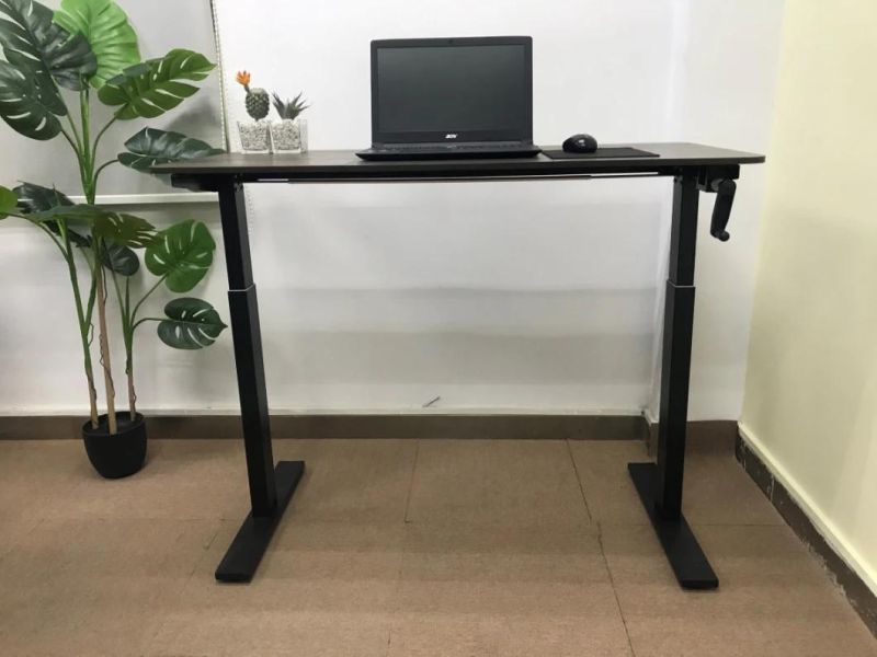 Lift Table Home Desk Standing Office Computer Desk Desk Learning Writing Desk E-Competition Desk at Home Desk