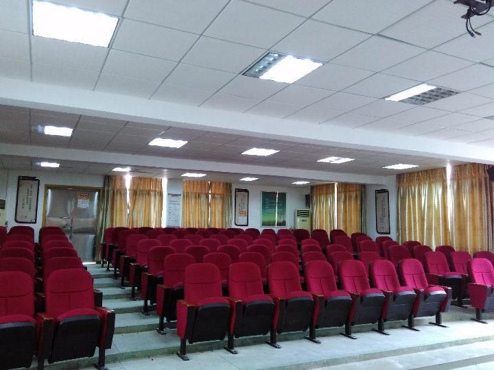 Stadium Classroom Audience Lecture Hall Public Auditorium Church Theater Seat