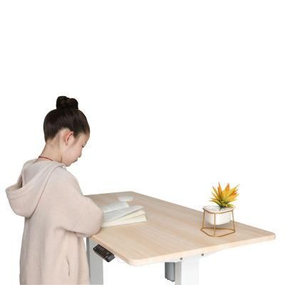 Professional Manufacturer Single Motor Adjustable Standing Desk Metal Frame Motorized Height Adjustable Desk