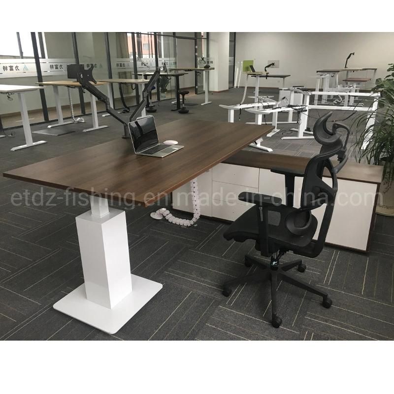 Executive Office Moden Desk Electric Height Adjustable Computer Desk