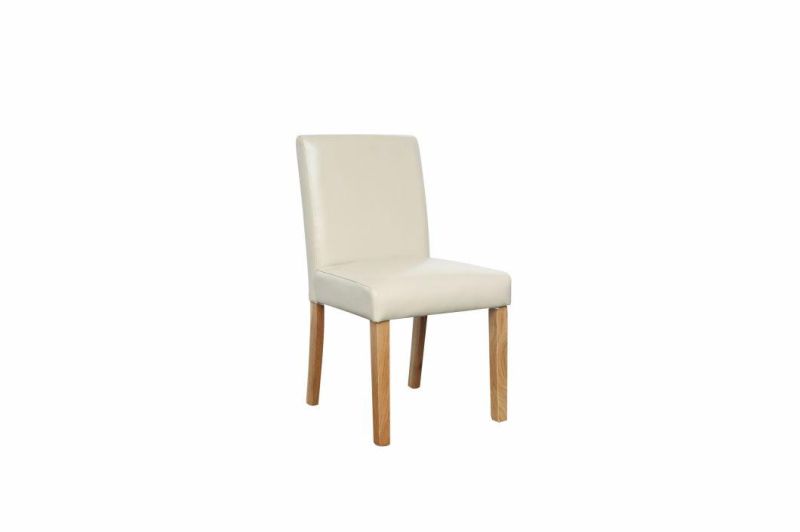 Modern Furniture Popular Beautiful Hot Sale Dining Chair