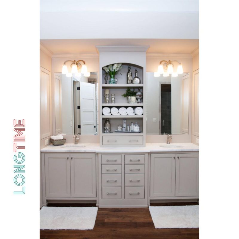 Experienced Manufacturer OEM Style Selections Vanities Furniture Powder Room Cabinet