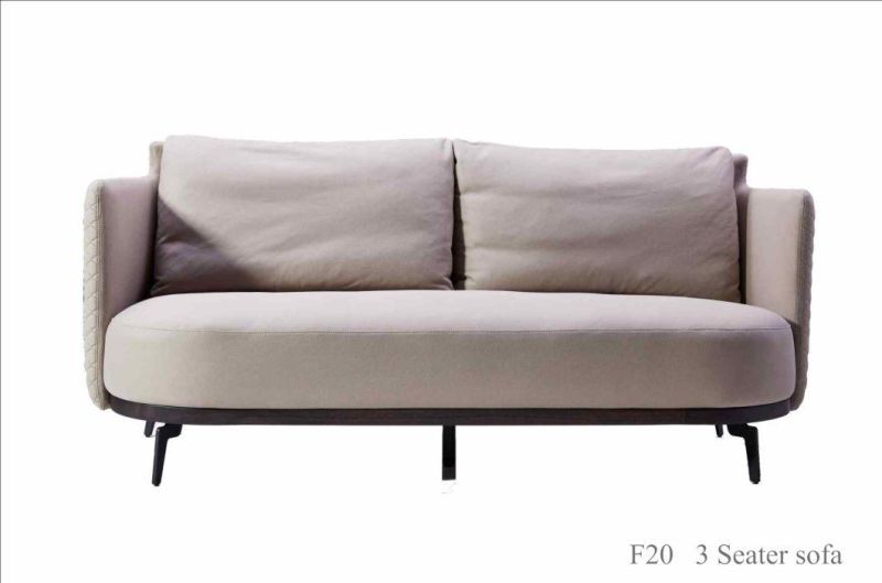 F20 Single Sofa/Fabric /Ash Wood /Ykk Zipper/Natural Steel Coating Base/Modern Sofas in Home and Hotel