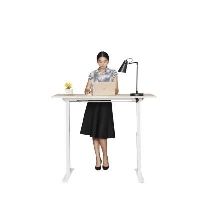 Computer Electric Standing Desk Height Adjustable Desk Frame