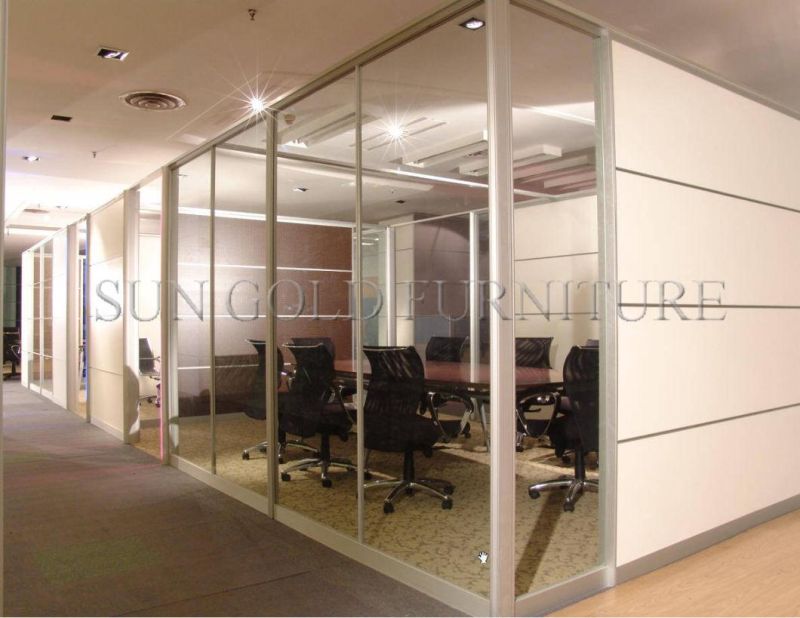 Modern Office Exterior Aluminum Wall Panel Partition Interior Door (SZ-WST781)