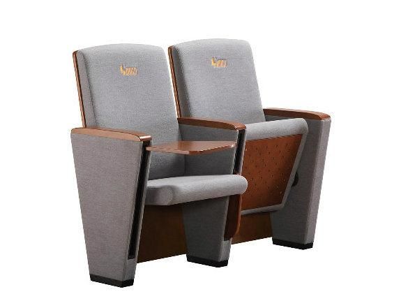 Audience Stadium Economic Media Room Lecture Hall Theater Church Auditorium Seat