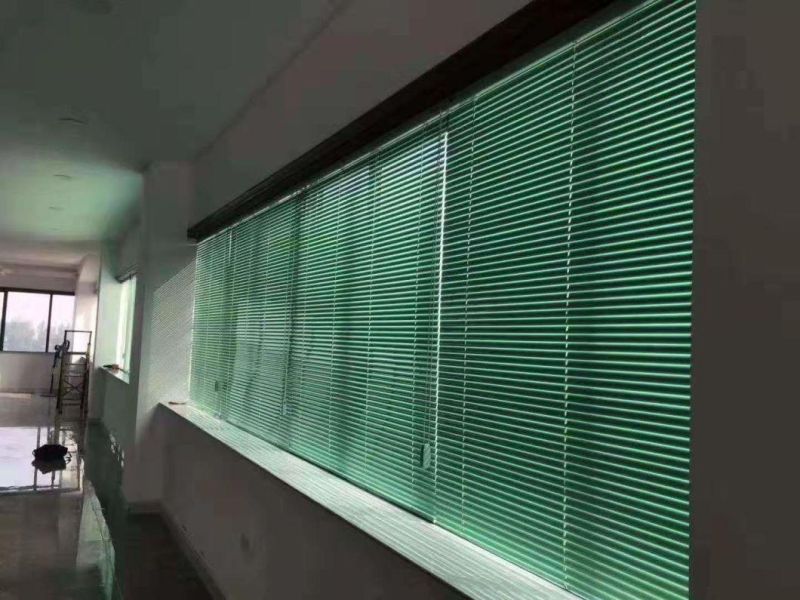 Wood Shutter/Aluminium/PVC Venetian Blinds